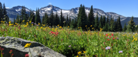 hiking hut to hut with women's travel in british columbia hiking hut to hut with women's travel in british columbia