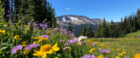 hiking hut to hut with women's travel in british columbia hiking hut to hut with women's travel in british columbia