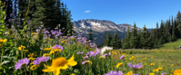 hiking hut to hut with women's travel in british columbia