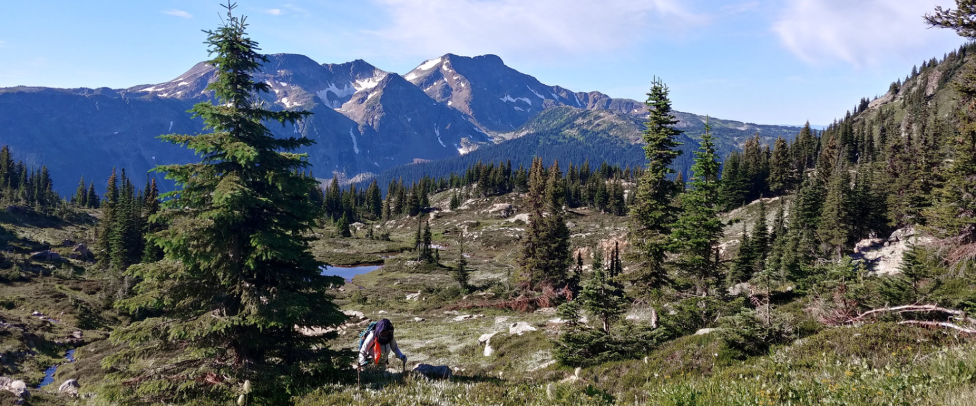 hiking hut to hut with women's travel in british columbia