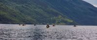 Exploring Norway | Hiking, Kayaking, Biking Oslo to Bergen, Norway Exploring Norway | Hiking, Kayaking, Biking Oslo to Bergen, Norway