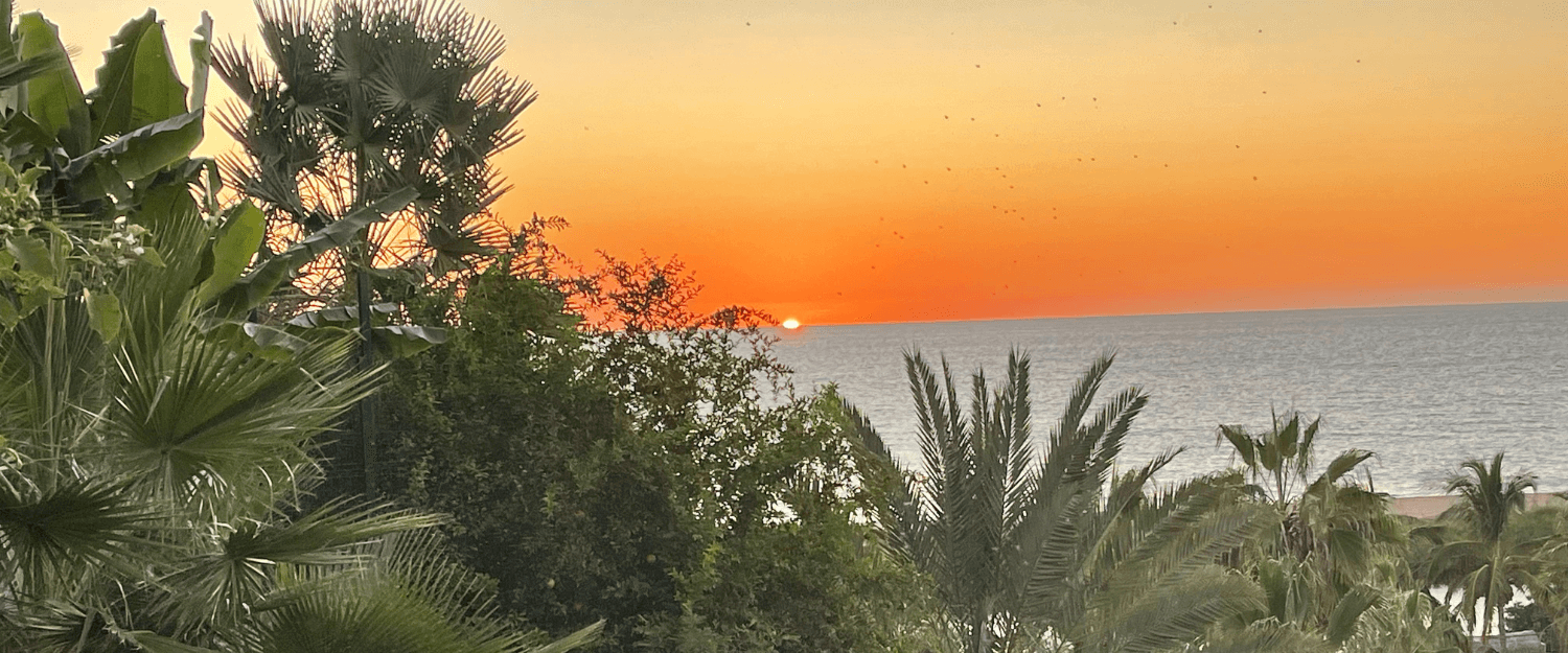 Camping on the Sea Of Cortez | Snorkeling, Boating, Wildlife, Hiking, Stand Up Paddle-boarding, Kayaking in Mexico