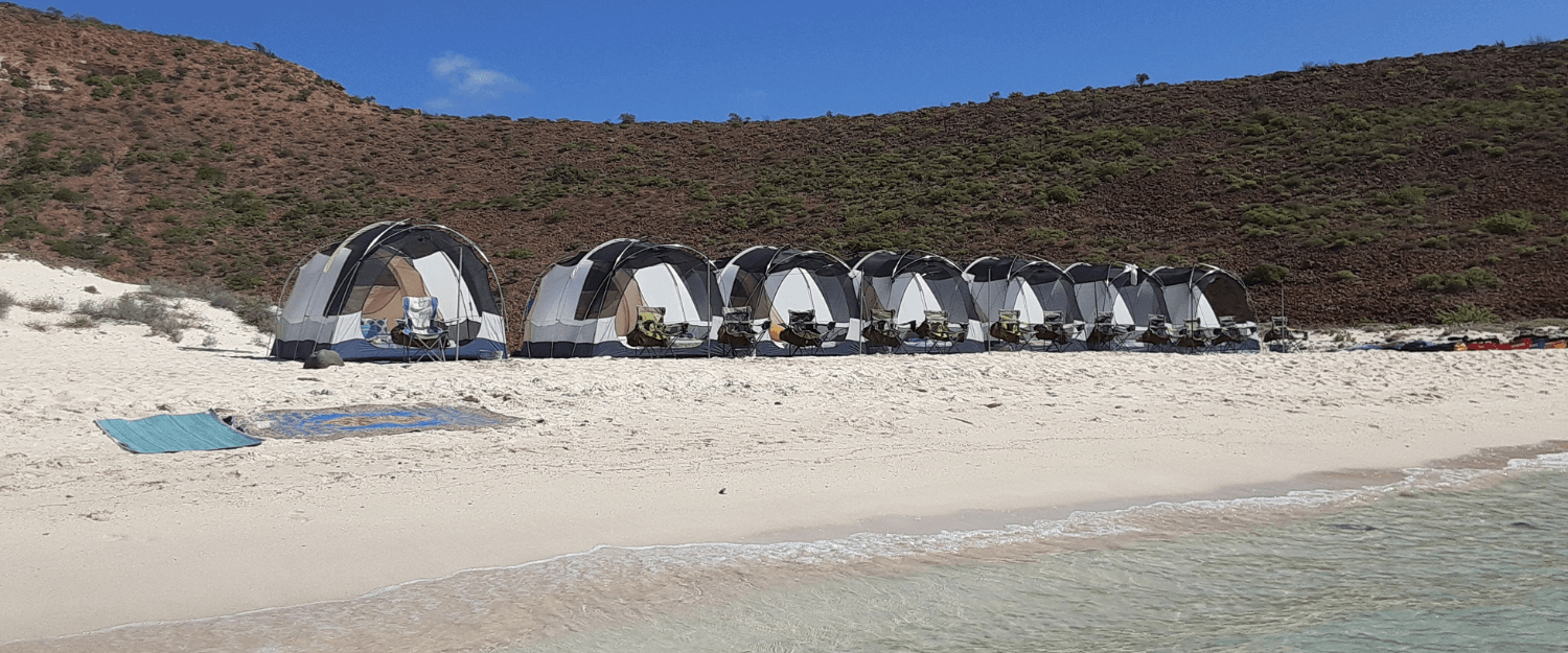 Camping on the Sea Of Cortez | Snorkeling, Boating, Wildlife, Hiking, Stand Up Paddle-boarding, Kayaking in Mexico