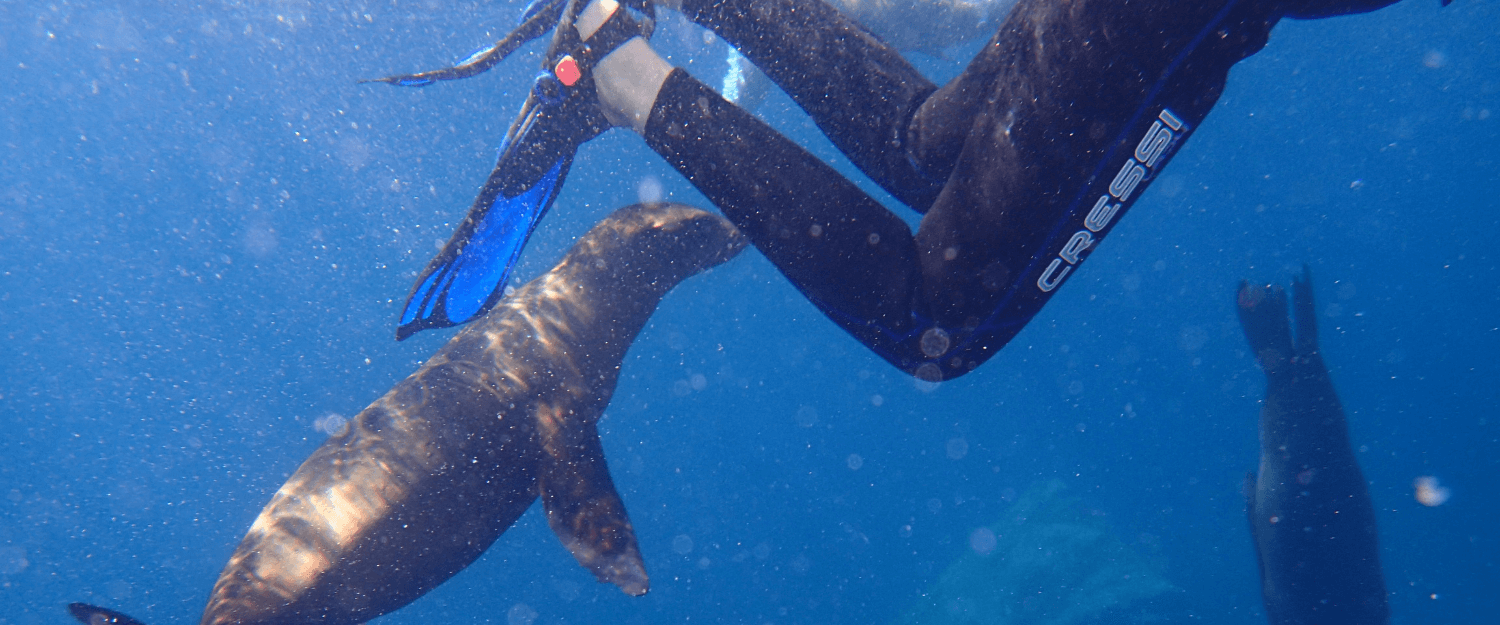 Camping on the Sea Of Cortez | Snorkeling, Boating, Wildlife, Hiking, Stand Up Paddle-boarding, Kayaking in Mexico