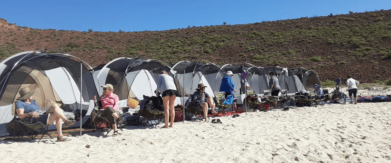 Camping on the Sea Of Cortez | Snorkeling, Boating, Wildlife, Hiking, Stand Up Paddle-boarding, Kayaking in Mexico