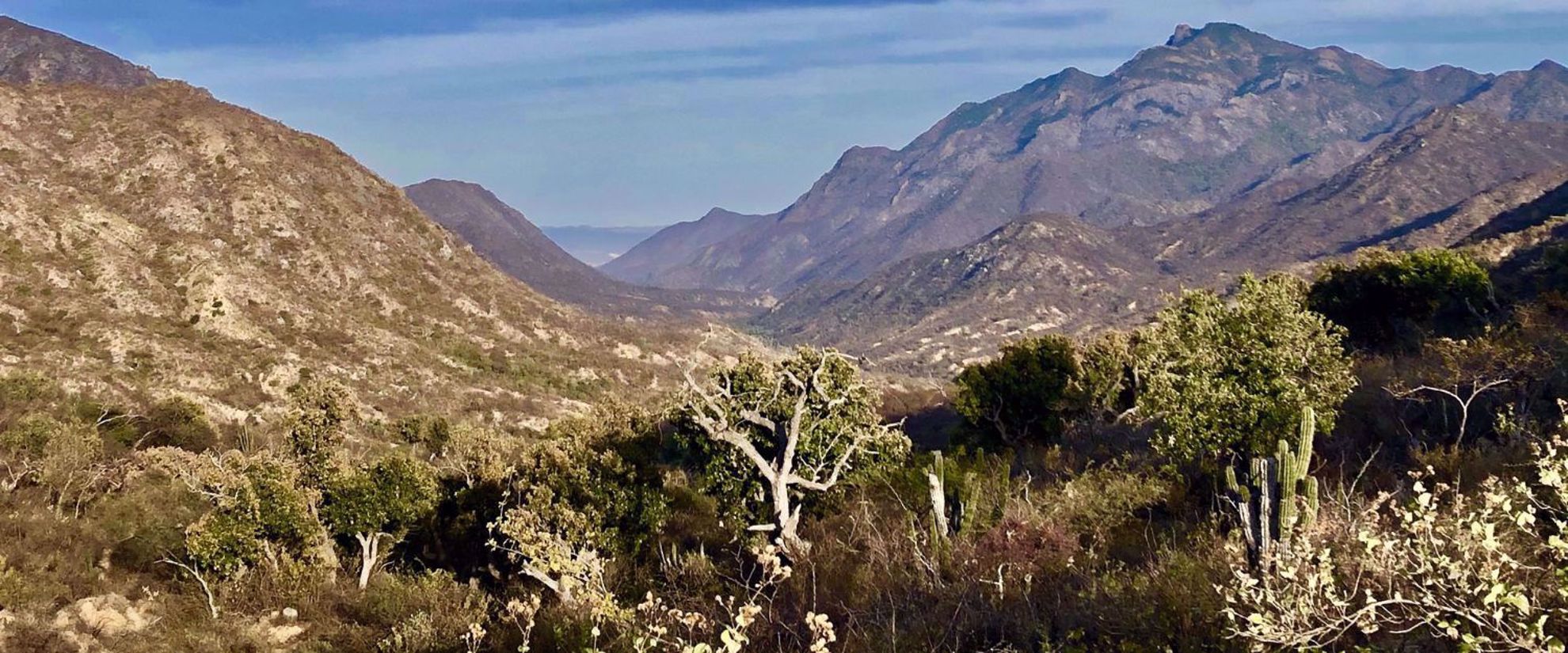 Picture of Baja's Scenic Sierras and Coastal Charms