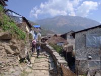 Trekking, Culture and Wildlife in Nepal Trekking, Culture and Wildlife in Nepal