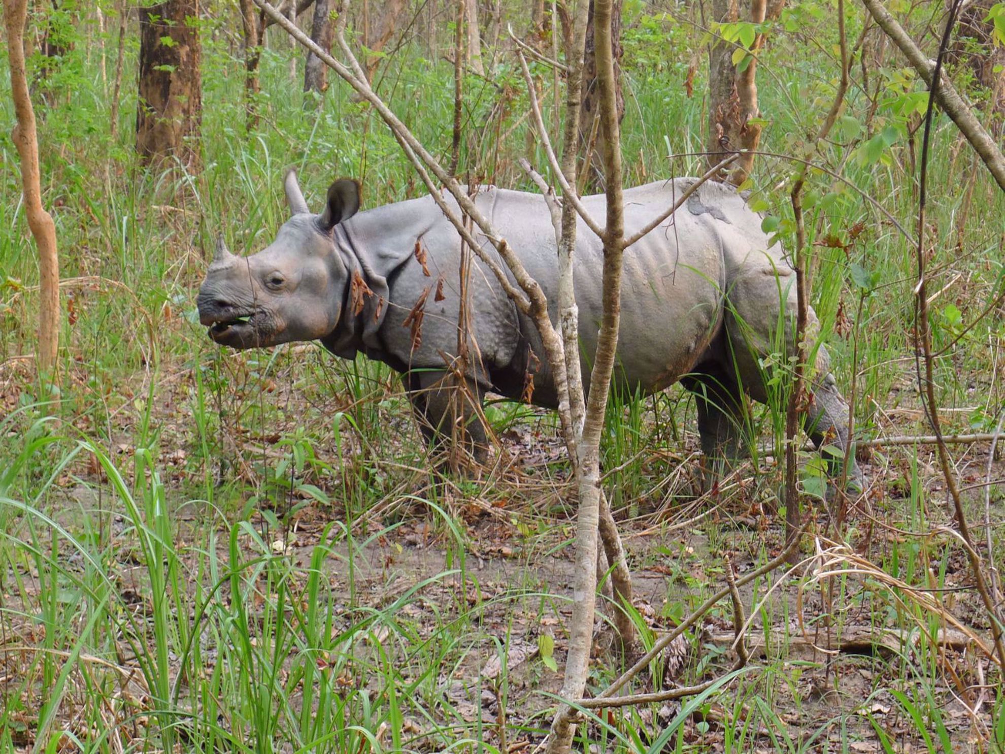 Trekking, Culture and Wildlife in Nepal Trekking, Culture and Wildlife in Nepal