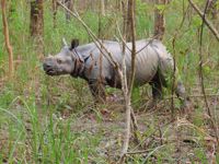 Trekking, Culture and Wildlife in Nepal Trekking, Culture and Wildlife in Nepal
