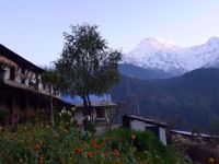 Trekking, Culture and Wildlife in Nepal Trekking, Culture and Wildlife in Nepal