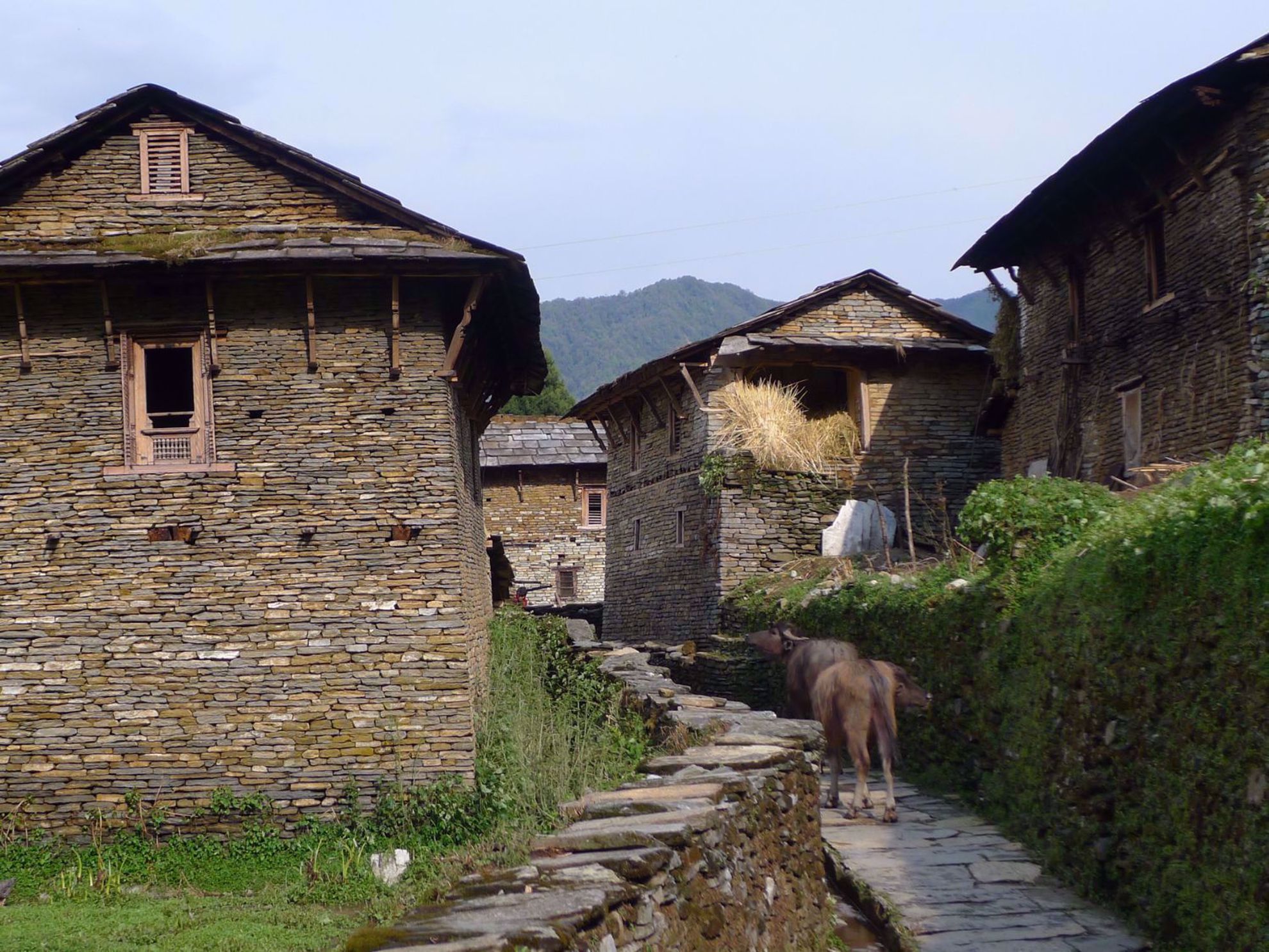 Trekking, Culture and Wildlife in Nepal