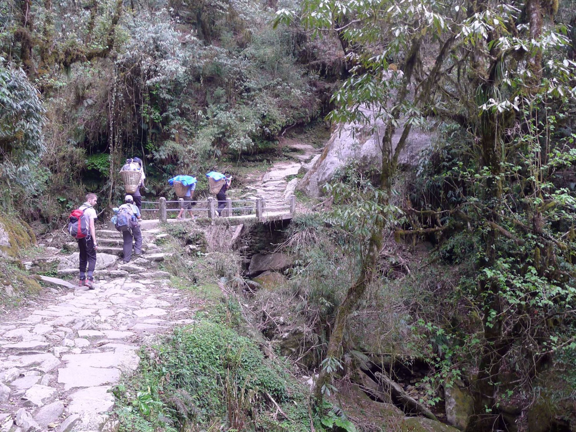 Trekking, Culture and Wildlife in Nepal Trekking, Culture and Wildlife in Nepal