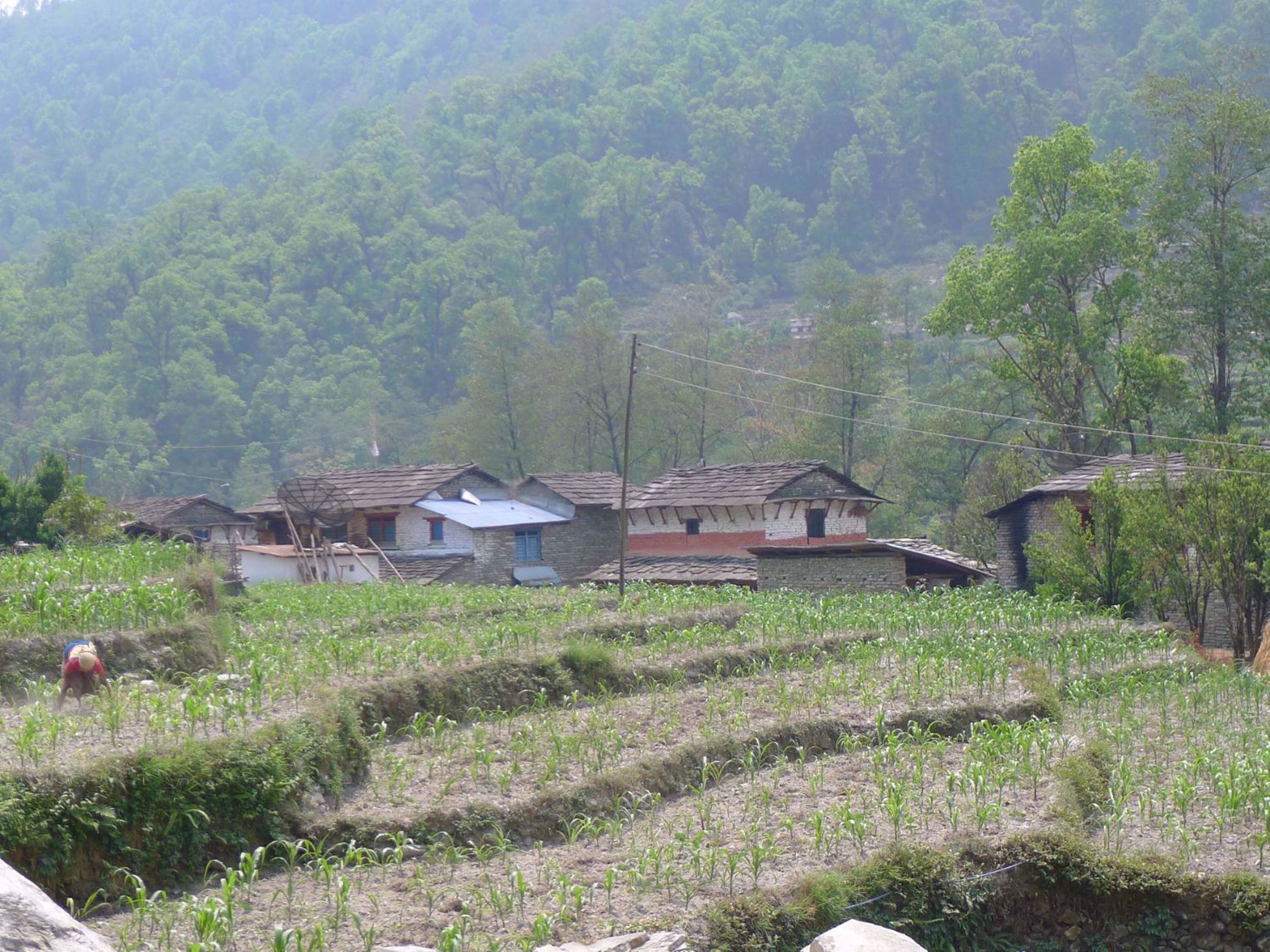 Trekking, Culture and Wildlife in Nepal