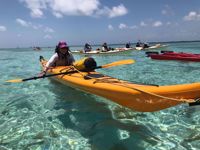 Best of Belize: Snorkeling, Kayaking & Culture