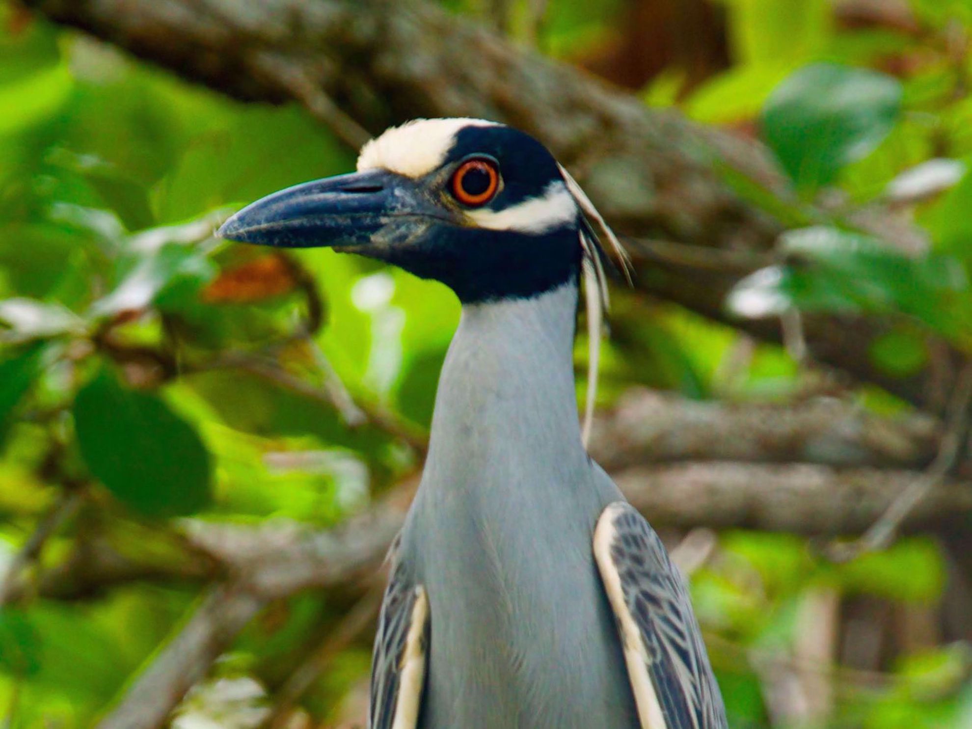 Best of Belize: Snorkeling, Kayaking & Culture