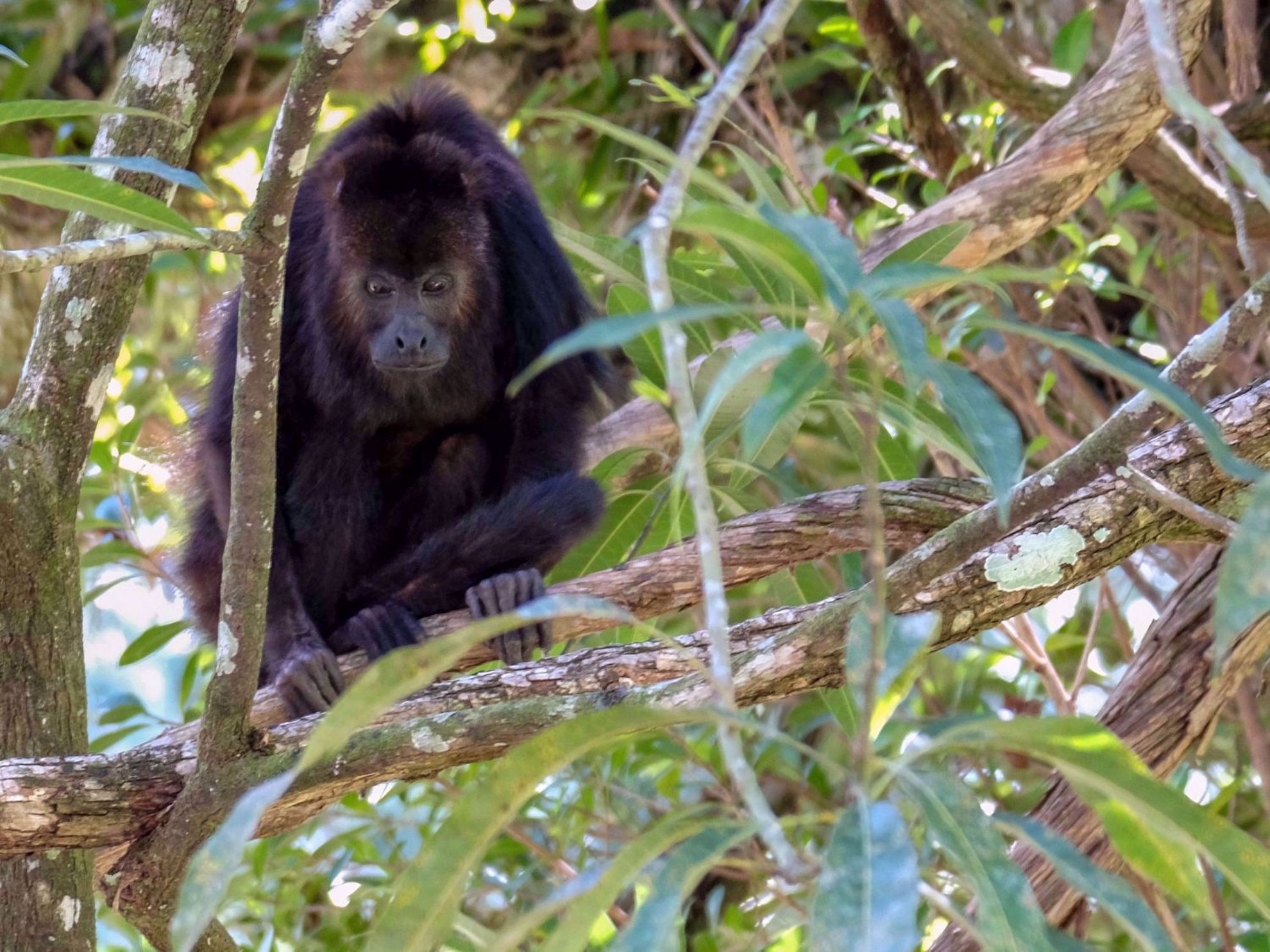 Best of Belize: Snorkeling, Kayaking & Culture