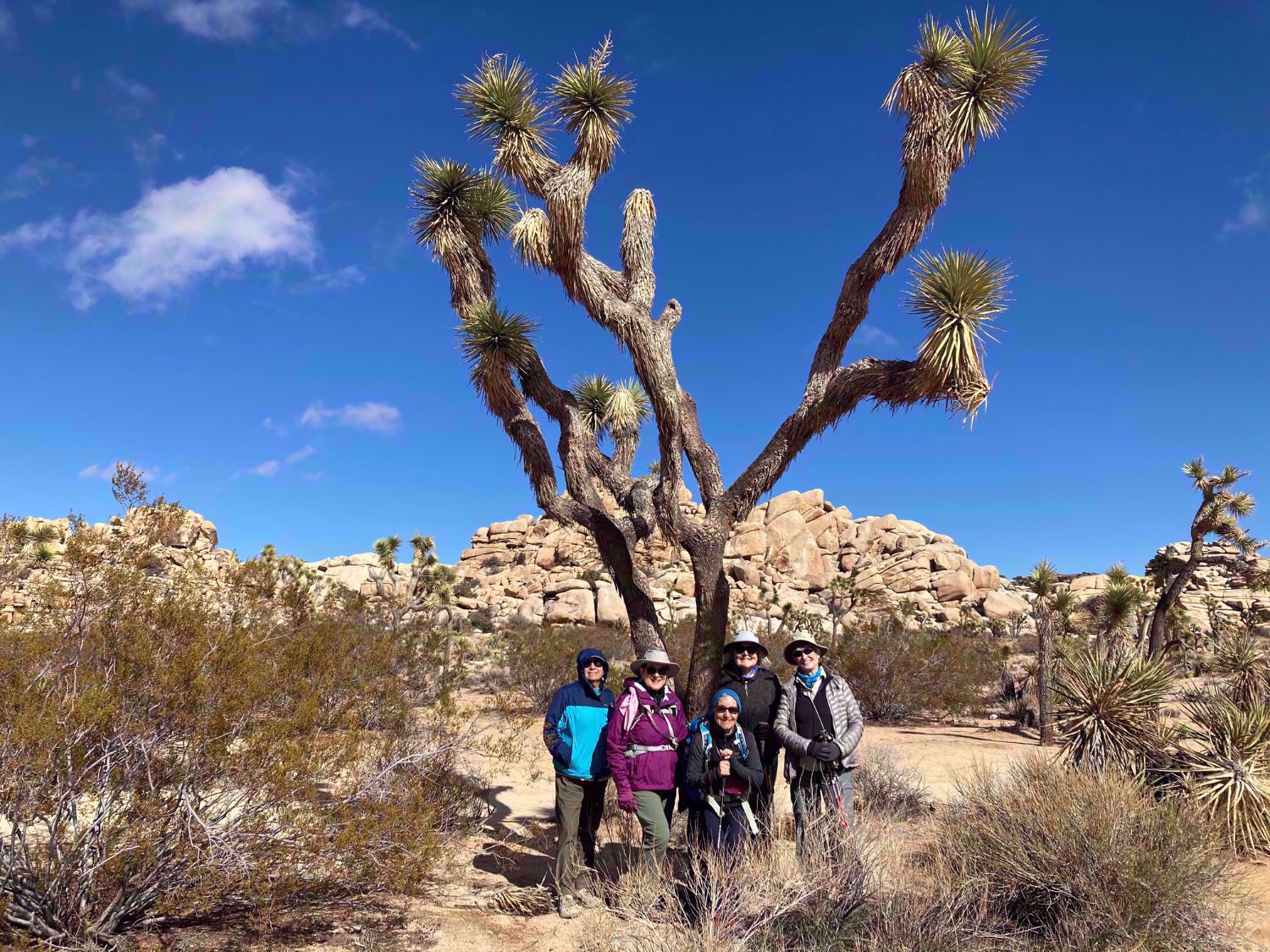 Joshua Tree National Park Womens Travel Group