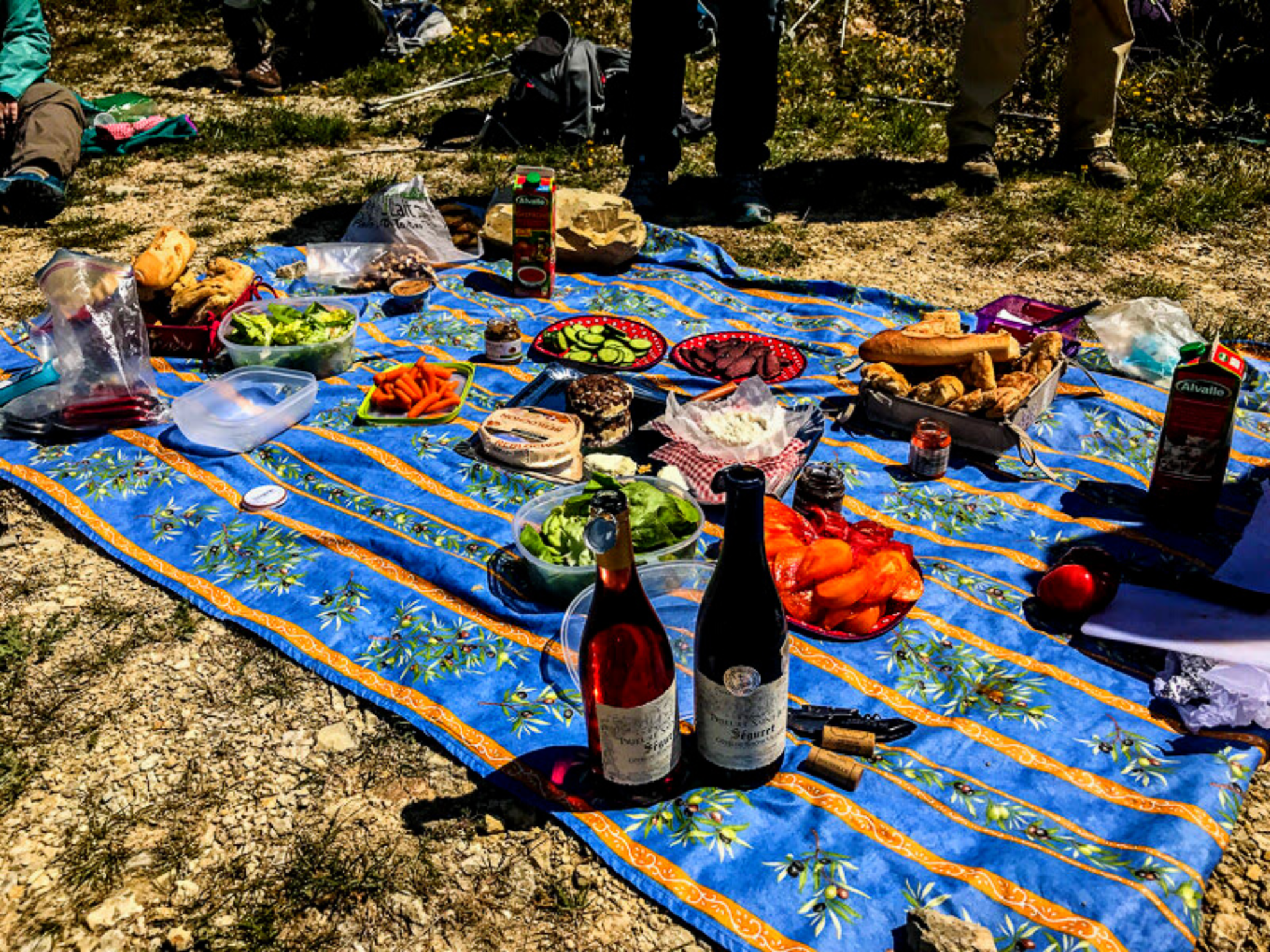 Picture of Colors of Provence Picture of Colors of Provence