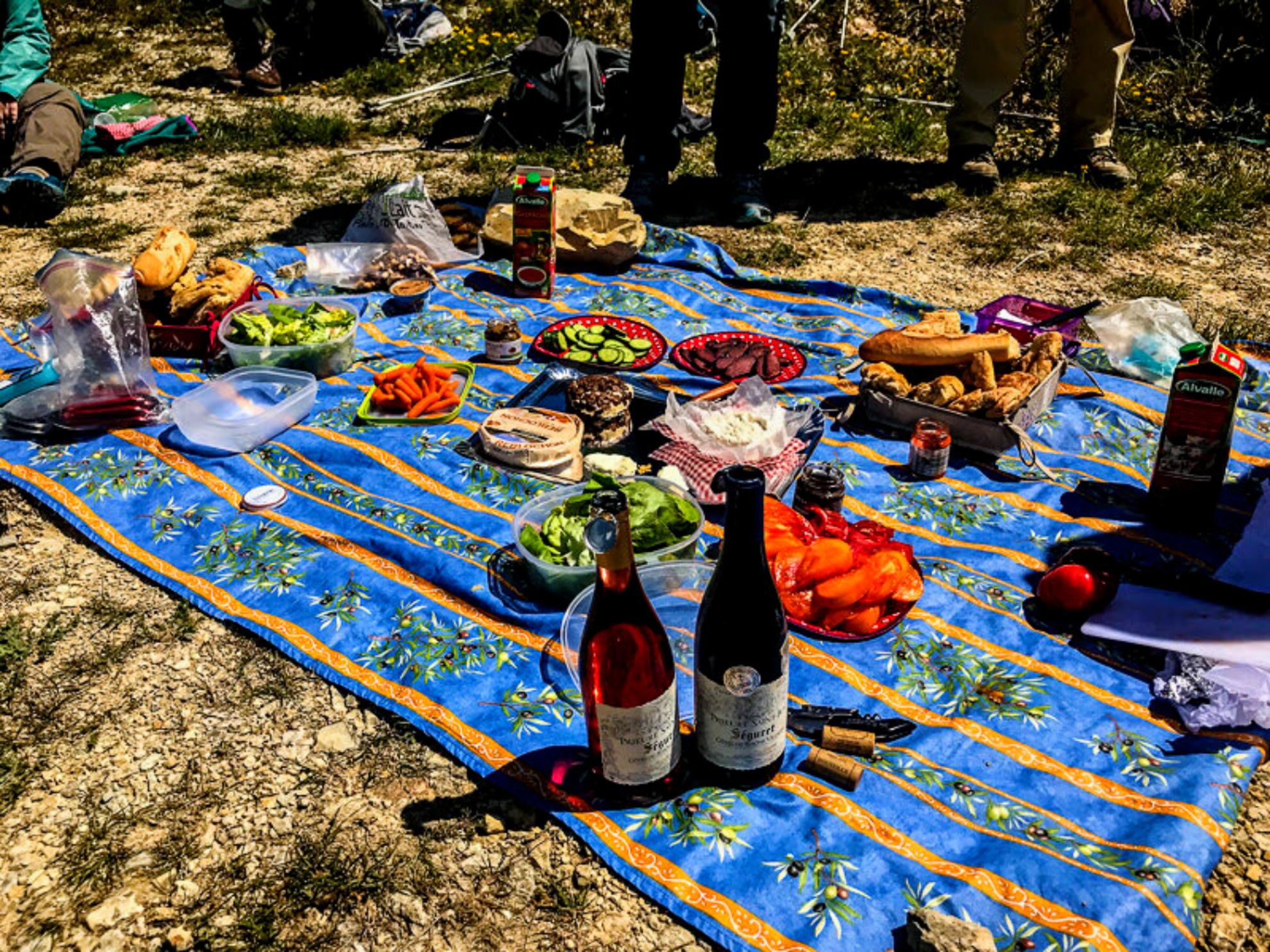 Picture of Colors of Provence