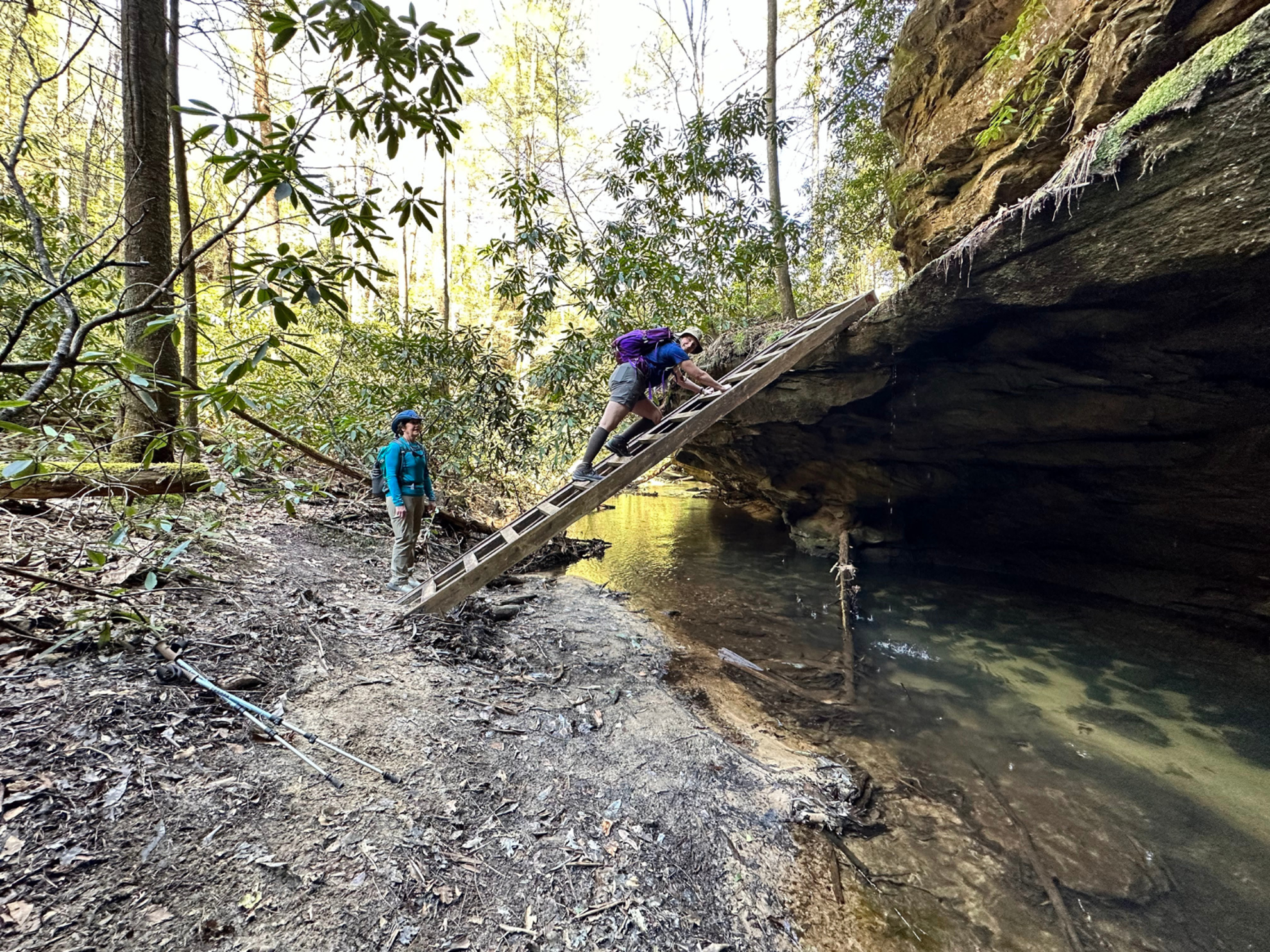 Picture of Exploring the Big South Fork