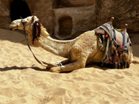 Picture of Discovering Jordan - Hiking and Culture Picture of Discovering Jordan - Hiking and Culture
