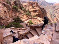 Picture of Discovering Jordan - Hiking and Culture Picture of Discovering Jordan - Hiking and Culture