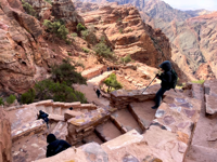 Picture of Discovering Jordan - Hiking and Culture