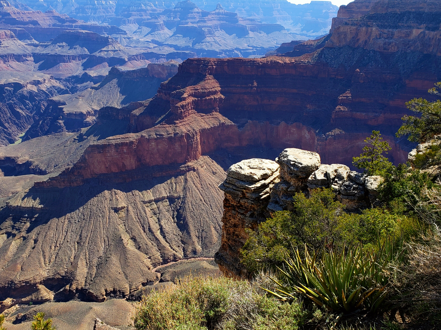 Grand Canyon National Park Scenic View