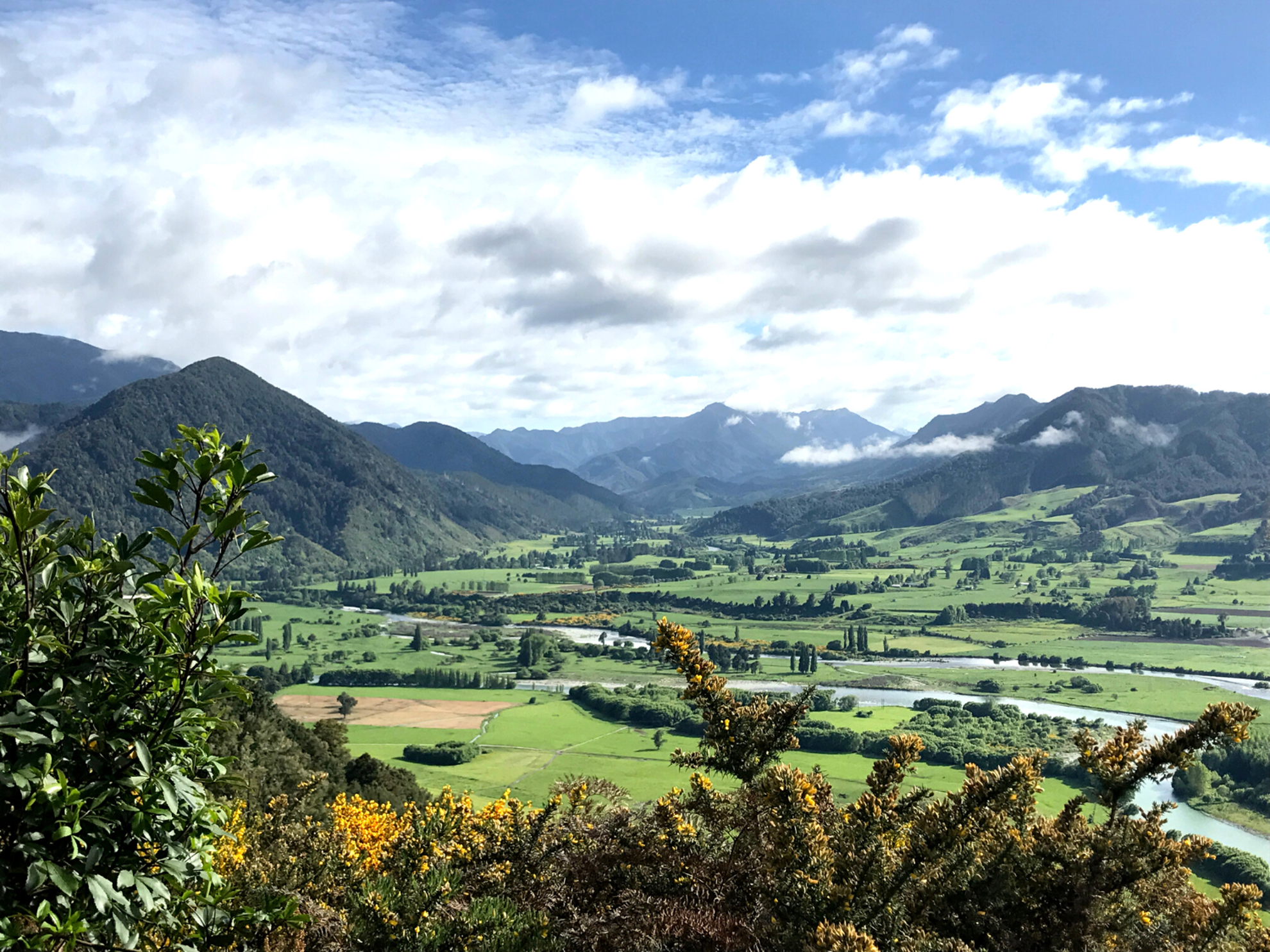 Picture of Exploring New Zealand