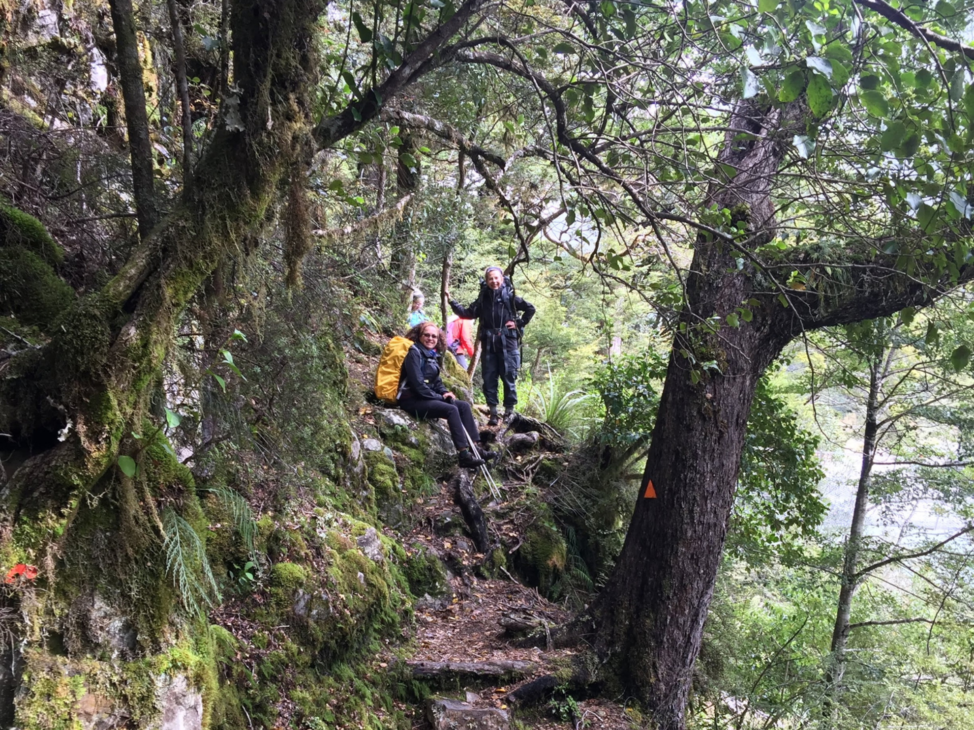 Picture of Exploring New Zealand