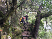 Picture of Exploring New Zealand Picture of Exploring New Zealand
