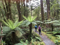 Picture of Exploring New Zealand Picture of Exploring New Zealand