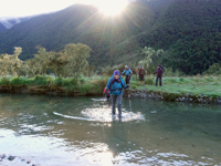 Picture of Exploring New Zealand Picture of Exploring New Zealand