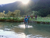 Picture of Exploring New Zealand