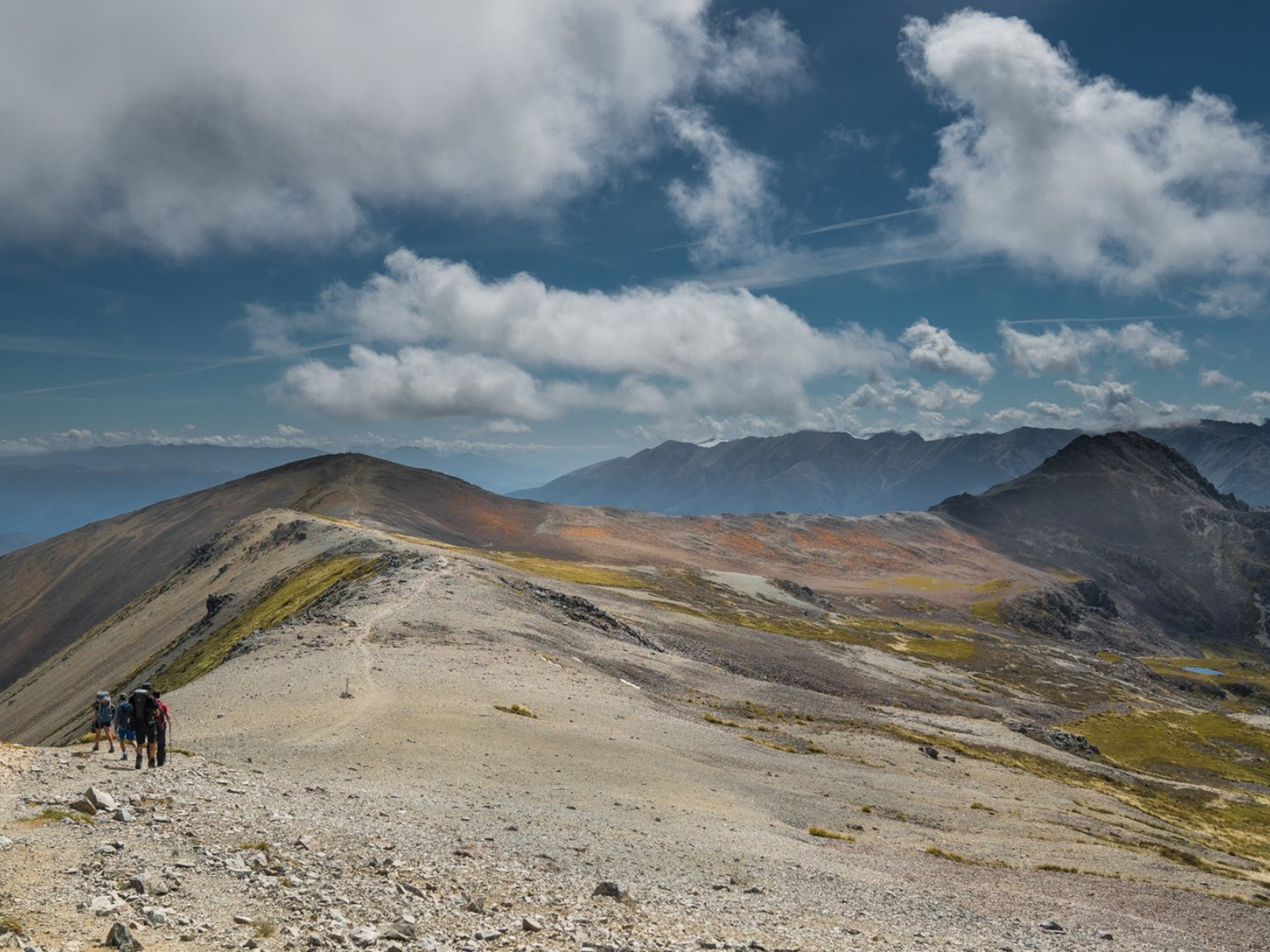 Picture of Exploring New Zealand