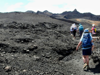 Picture of Exploring the Galapagos Islands by Yacht Picture of Exploring the Galapagos Islands by Yacht