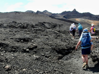 Picture of Exploring the Galapagos Islands by Yacht