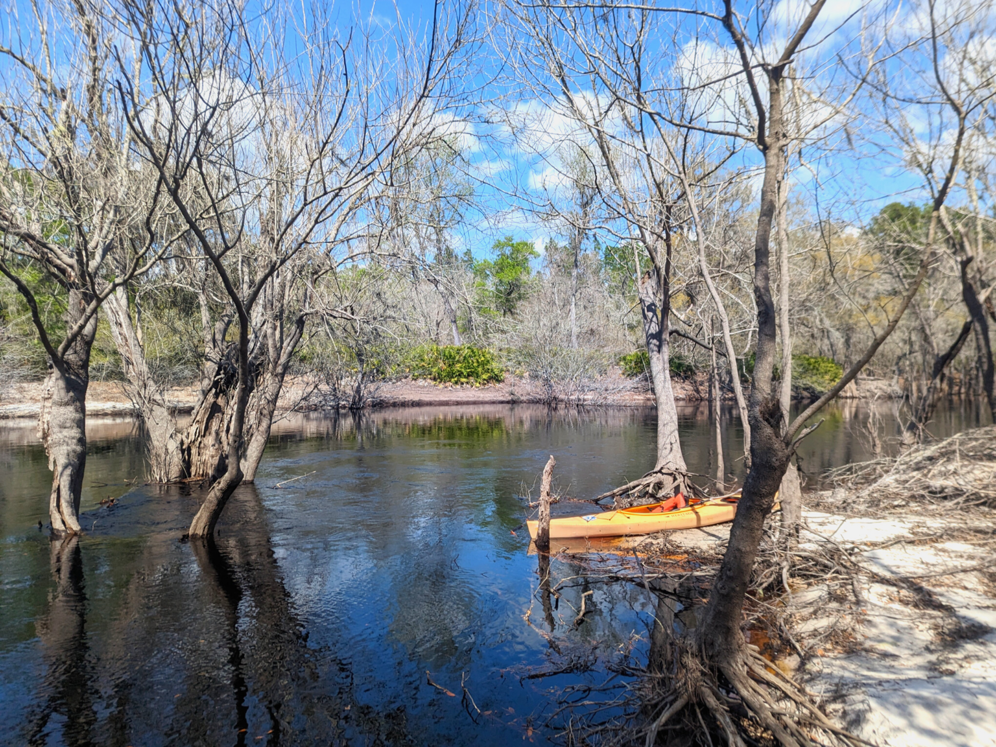 Picture of On the Suwannee River