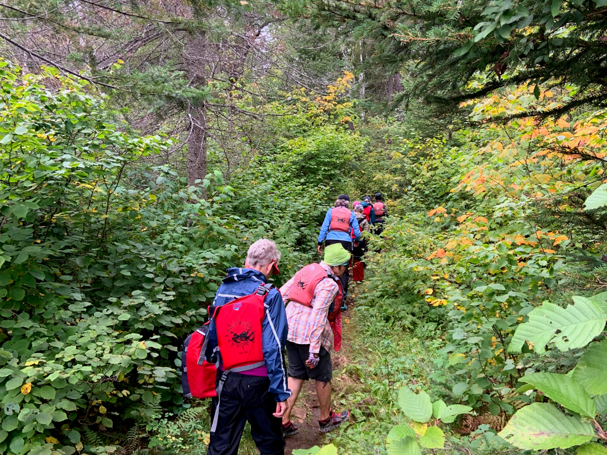 Picture of Boundary Waters Canoe Adventure