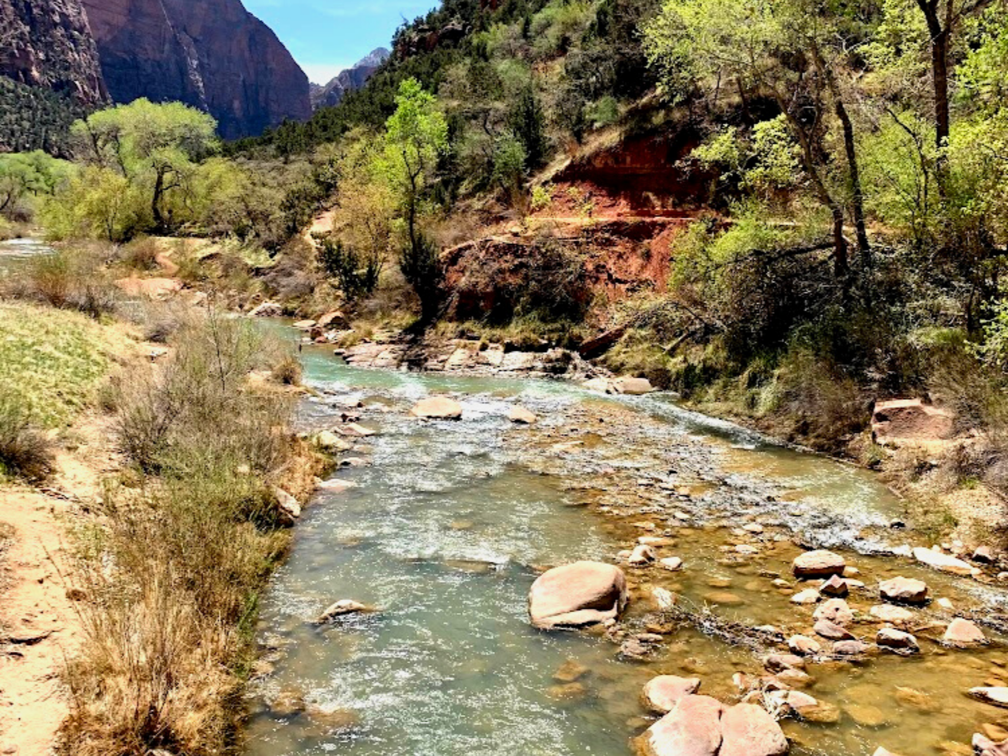 Picture of Hiking Utah's Majestic Parks