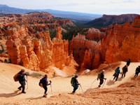 Picture of Hiking Utah's Majestic Parks