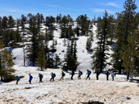 Picture of Hiking Utah's Majestic Parks