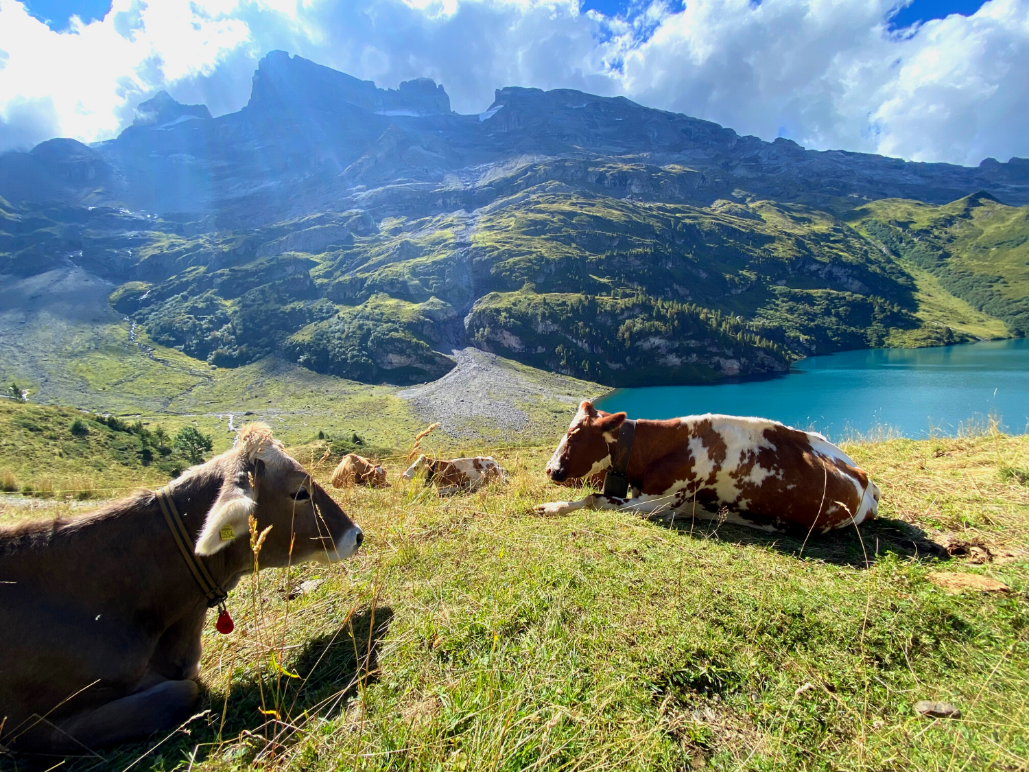 Picture of Switzerland Trekking on the Via Alpina