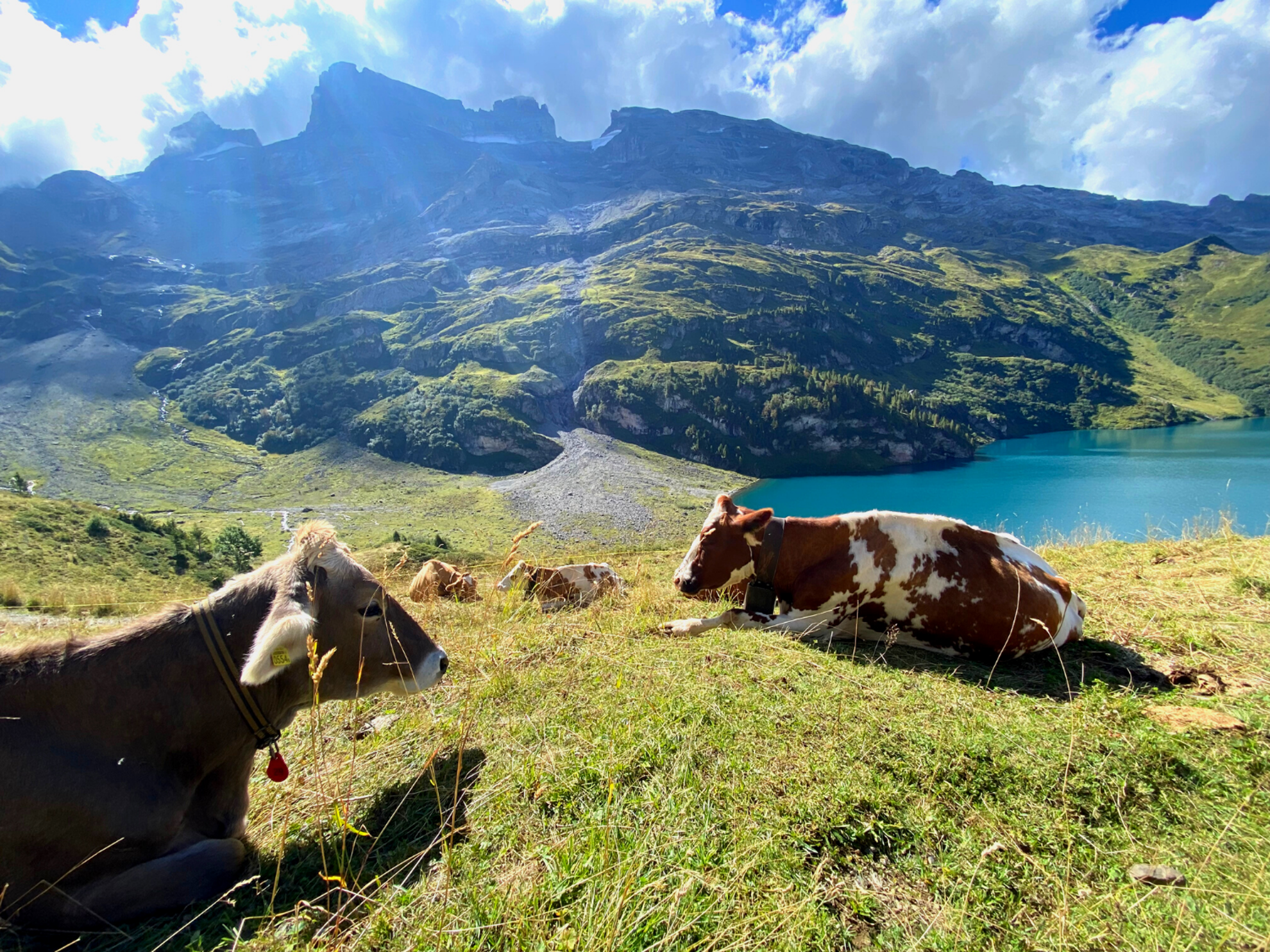 Picture of Switzerland Trekking on the Via Alpina