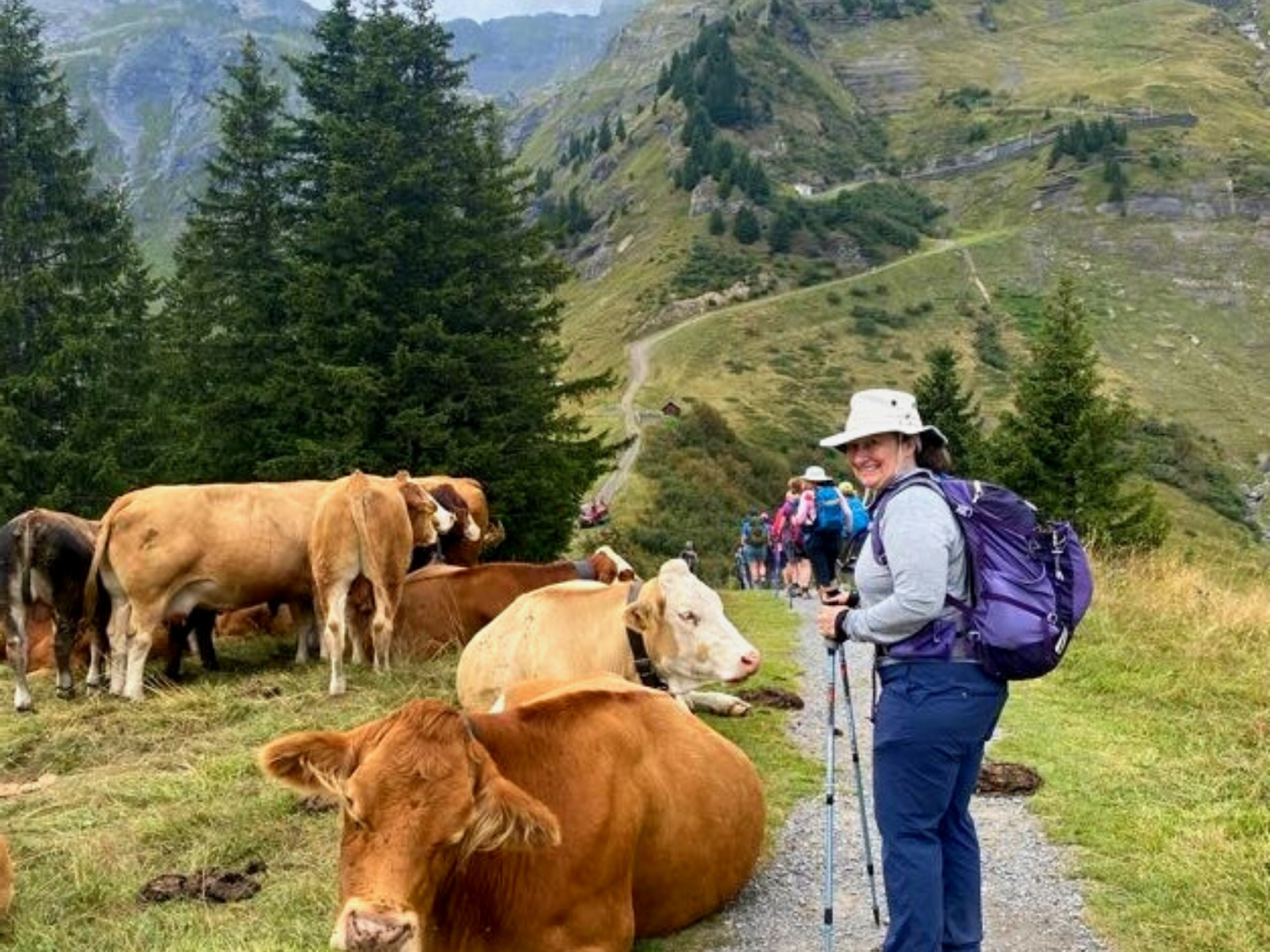 Picture of Switzerland Trekking on the Via Alpina