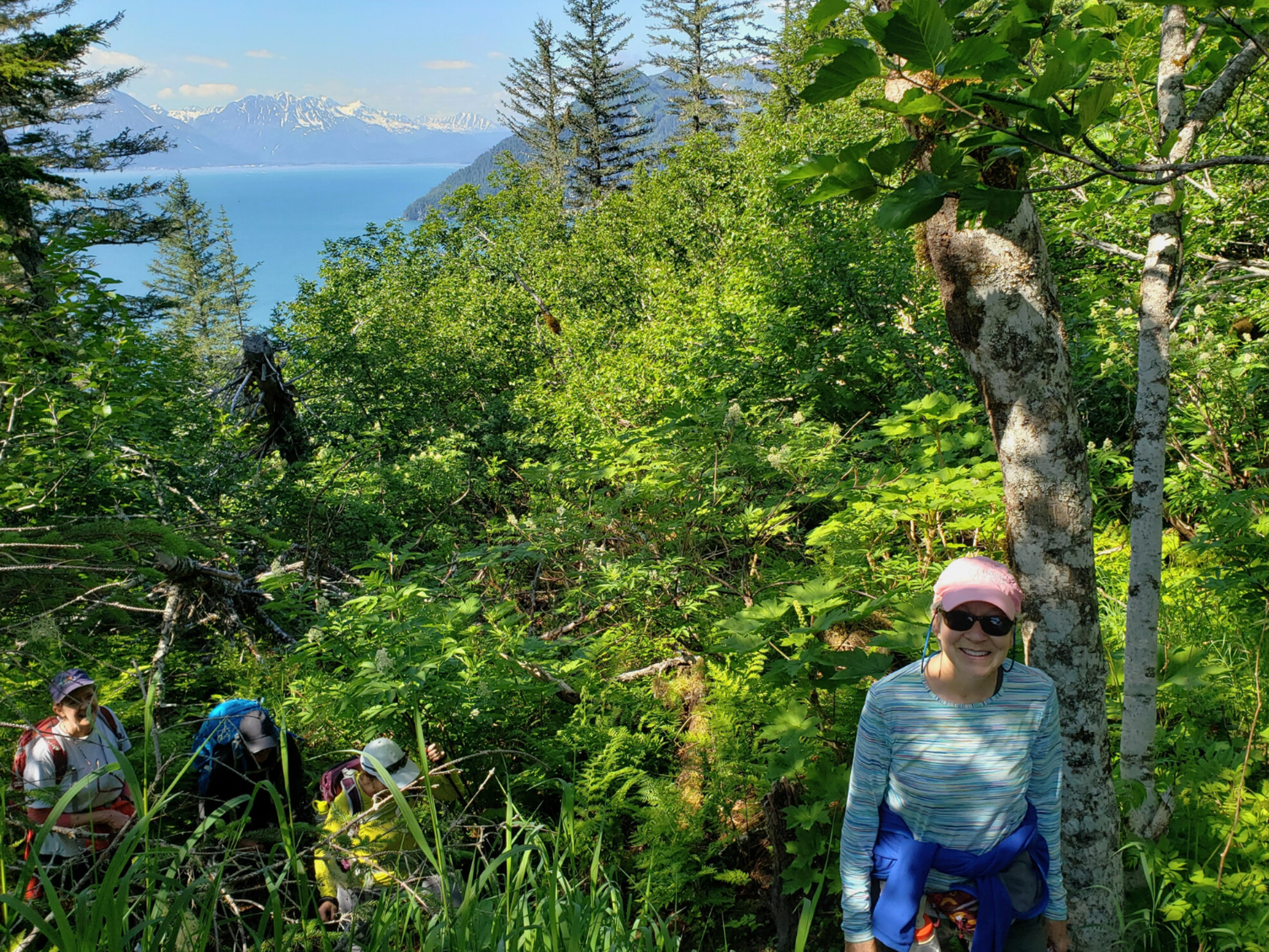 Picture of Alaska: The Kenai Peninsula