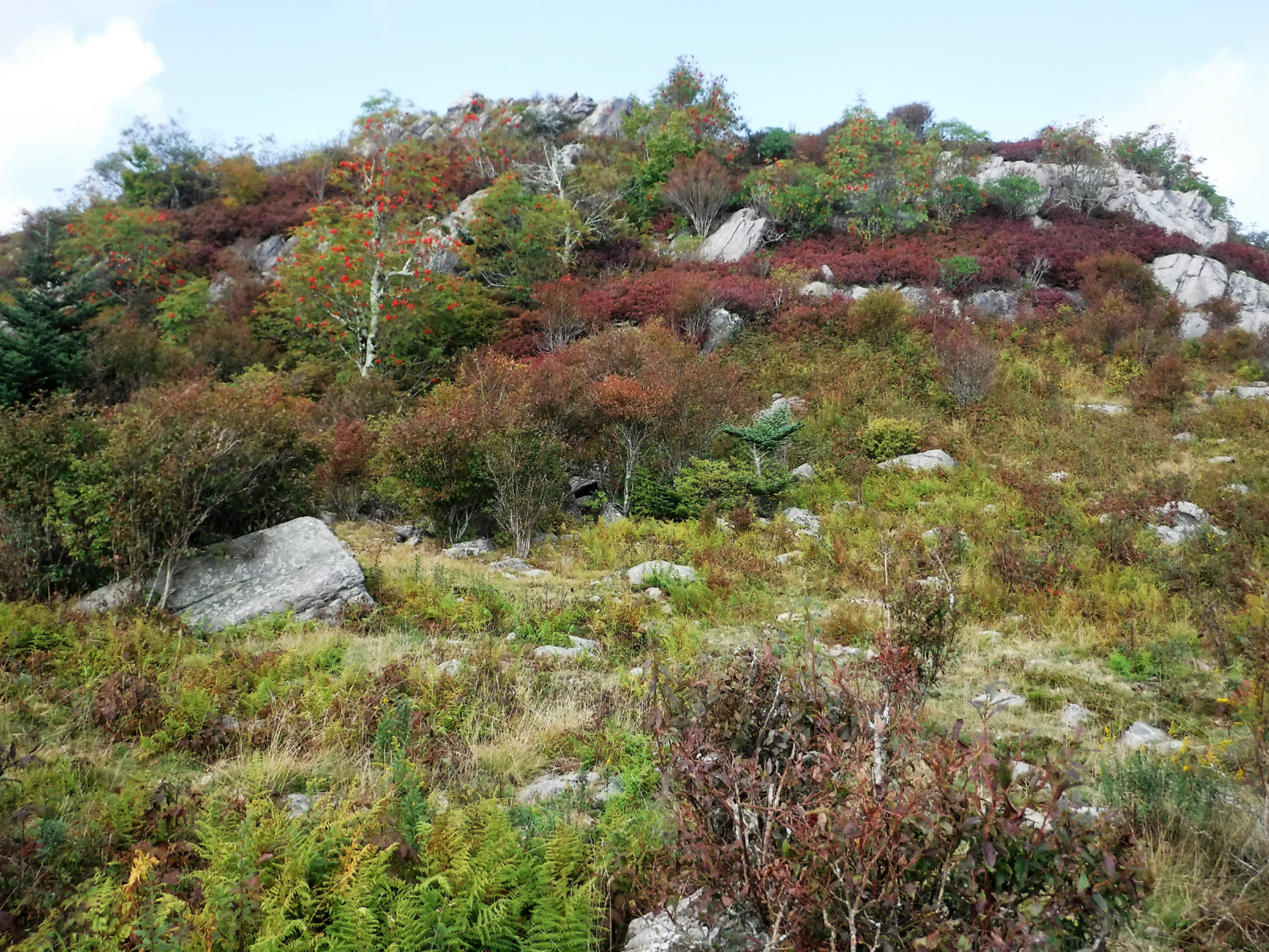 Picture of Slackpacking Virginia