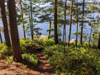 Picture of Kayaking the Adirondacks