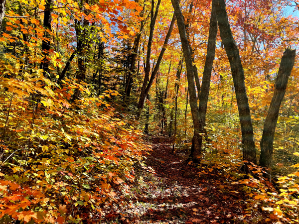 Autumn on the Superior Hiking Trail
