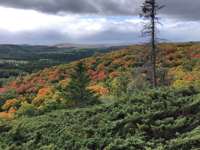 Picture of Autumn on the Superior Hiking Trail Picture of Autumn on the Superior Hiking Trail
